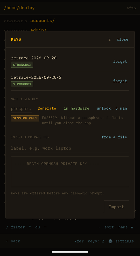 The keys screen, showing two SSH keys each badged STRONGBOX.