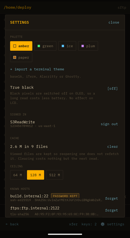 Settings, showing five phosphor palettes, a terminal theme importer and pinned known hosts.